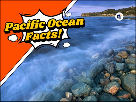 23 Interesting Pacific Ocean Facts You Might Not Know! (Printable)