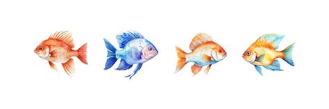 Premium Vector Watercolor Fish Set Vector Illustration Design