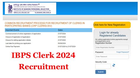 Ibps Clerk Recruitment 2024 आईबीपीएस क्लर्क भर्ती नोटिफिकेशन जारी For