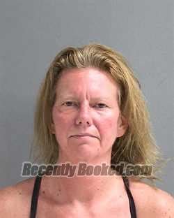 Recent Booking Mugshot For STEPHANIE MICHELLE MORRISON In Volusia