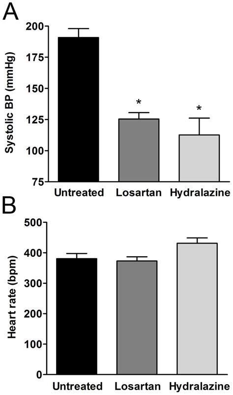 Losartan And Hydralazine Lower Blood Pressure In SHR Hemodynamic