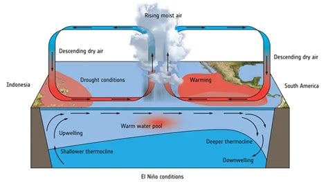 Mengenal Fenomena El Nino Dan La Nina