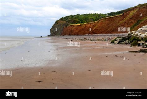 The coastline at Blue Anchor Bay on the Bristol Channel with view of the Triassic Merica ...