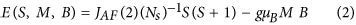 Edge State Magnetism In Zigzag Interfaced Graphene Via Spin