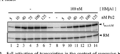 Figure From Transcriptional Activation In The Context Of Repression