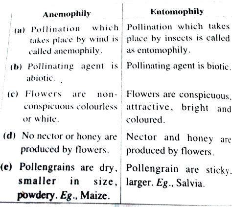 Anemophily and Entomophily.