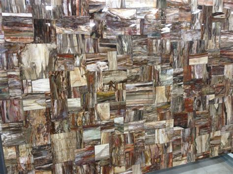 Countertop slab of petrified wood. By Cosentino "Prexury" countertops Stone Slab, Wood Stone ...