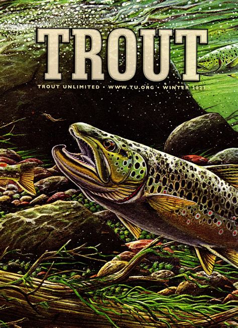 Trout Winter 2023 - Alaska Fly Fishing Trips