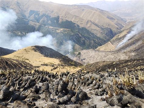 Cusco bomberos reportan más de 60 incendios forestales en lo que va