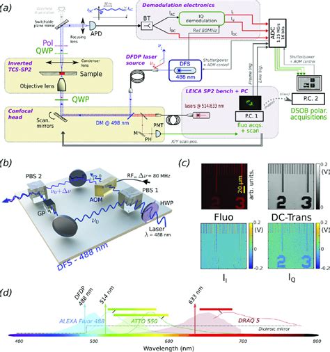 A Sketch Of The Ob Polarimetric Microscope Setup Implemented On A