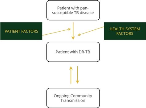 Integrated Blended Learning For Prevention Treatment Care And Support Of Hiv Stis Tb And