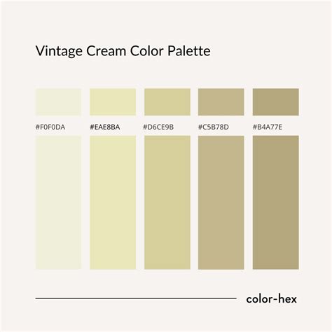 Cream Color Swatch