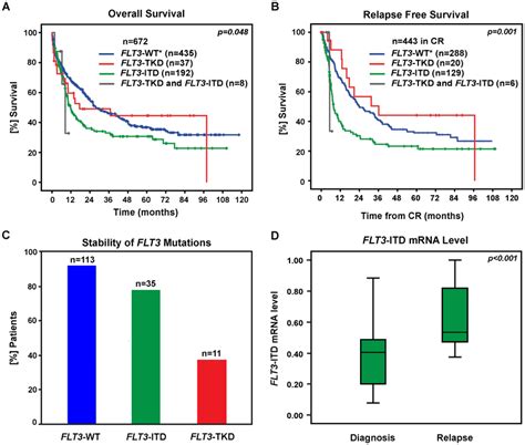 Prognostic Impact And Genetic Stability Of Flt Itd And Flt Tkd