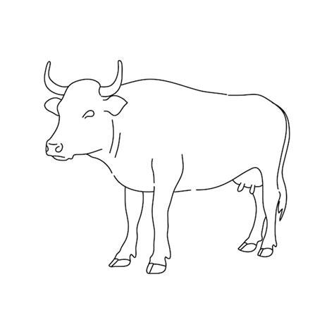 Premium Vector Cow On Pasture In Continuous Line Art Drawing Style