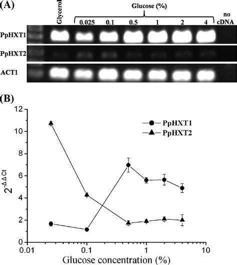 Catabolite Repression Of Aox In Pichia Pastoris Is Dependent On Hexose