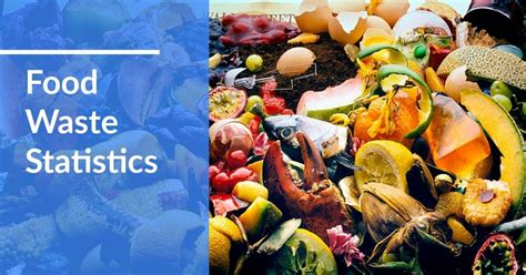 48 Food Waste Statistics 2020/2021: Causes, Impact & Solutions | CompareCamp.com