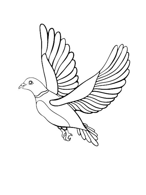 Dove coloring page