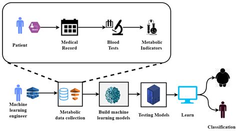 Diagnostics Free Full Text Machine Learning Approach For Metabolic