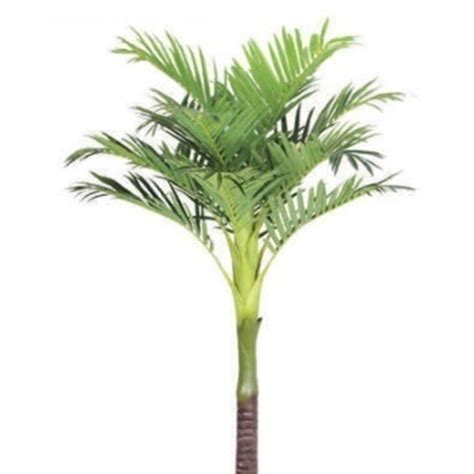 Artificial Palm Tree without Pot (200 cm) - Elen India