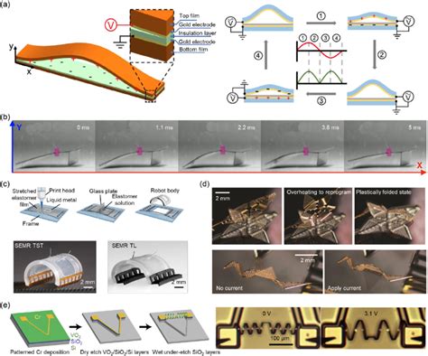 Tffas Based On Other Mechanisms Materials A Conceptual Illustration