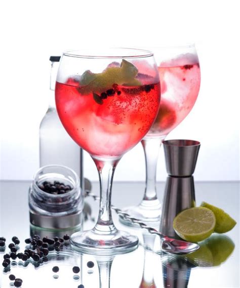 Top 22 Gin And Tonic Variations To Keep Your Cocktails Interesting ...