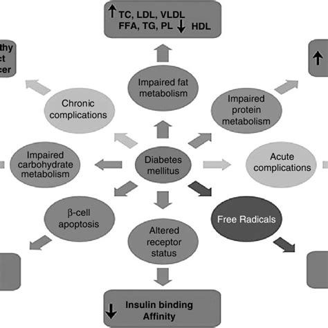 1 Diabetes complications. | Download Scientific Diagram