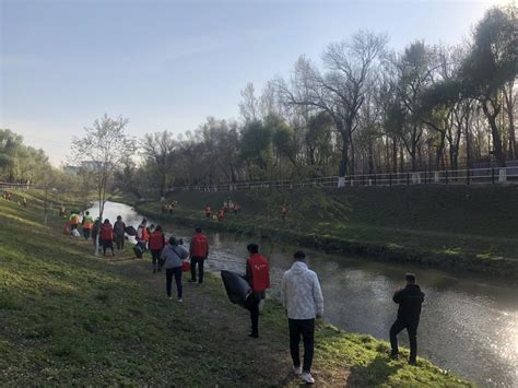 香坊区积极组织开展美丽中国 · 青春行动——“河”我一起 保护母亲河净滩行动 澎湃号·政务 澎湃新闻 The Paper