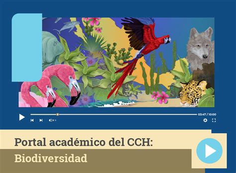 Los Organismos Internacionales Y La Biodiversidad Ante Los Fenómenos De