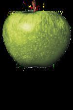 apple corps alchetron   social encyclopedia