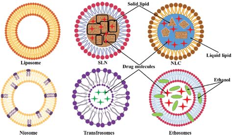 A Schematic Representation Of Different Types Of Lipid Nanocarrier