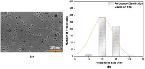 A Scanning Electron Microscopy Image B Precipitate Size