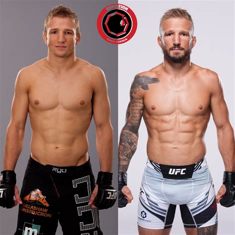 Mma Mania On Twitter Dillashaw Dillashaw Https T Co