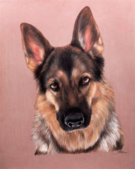 175 Tubiana Marion Pastels Et Photographies Canine Art Dog Art