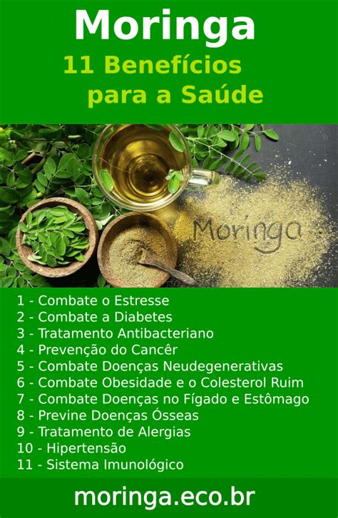 Moringa Ole Fera Saiba O Que Benef Cios E Como Tomar