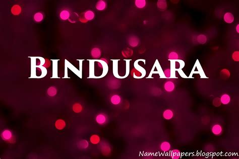 Bindusara Name Wallpapers Bindusara ~ Name Wallpaper Urdu Name Meaning Name Images Logo Signature