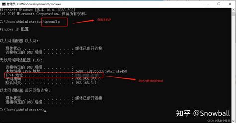 保姆级教程Linux和Windows下本地化部署Vicuna模型 知乎