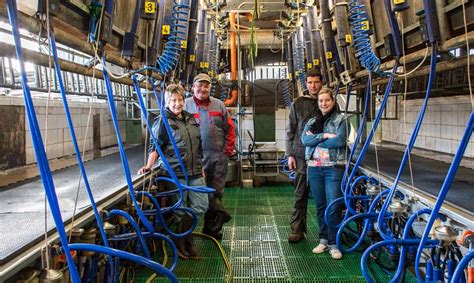 Rénover et doubler sa salle de traite pour 15000 Journal Paysan Breton