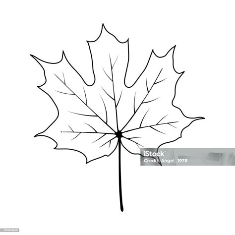 Autumn Maple Leaf Stock Illustration Download Image Now Art Autumn Autumn Leaf Color Istock