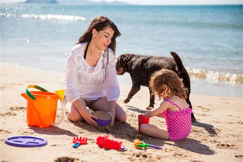 Vakantiepark Zeeland Met Hond Last Minutes En Aanbiedingen