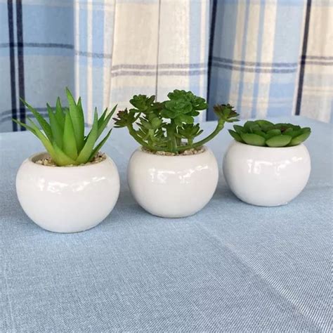 Kit Vasinhos De Planta Suculenta Decorativo Vidro Mercadolivre