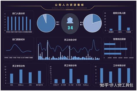 公司人力数据分析看板（整体现状分析 异动率 年龄结构 学历占比 职级分布等） 知乎