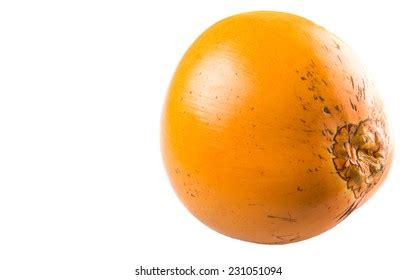 58 Malayan Yellow Dwarf Images Stock Photos Vectors Shutterstock