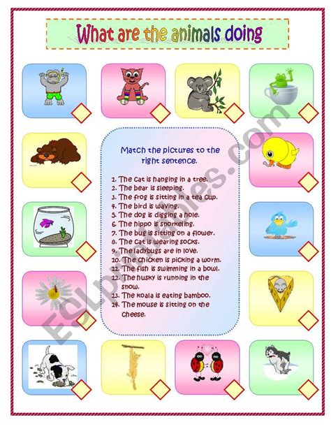 animals  part  esl worksheet  kruemel