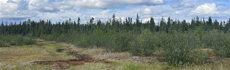 Prospector S Trail Loop 69 Foto S Northwest Territories Canada Alltrails