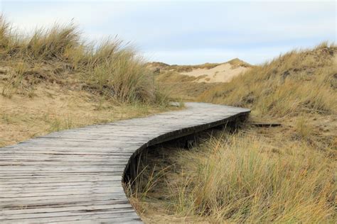 Free Images Beach Landscape Sea Coast Grass Sand Rock Marsh