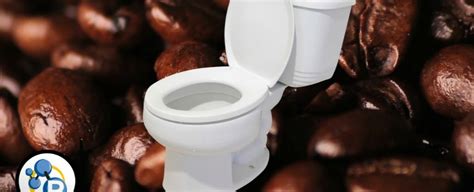 Heres Why You Need To Poop After Your Morning Cup Of Coffee