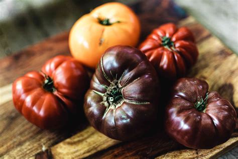 Beginner Tips for Growing Plumper Heirloom Tomatoes