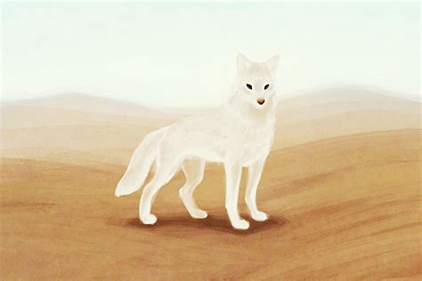 Desert Wolf by Mootdam on DeviantArt