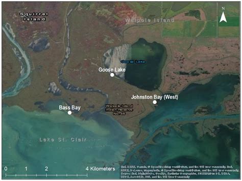 marshes   st clair river delta sampled  invertebrates