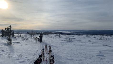 Dog Sled To Tolovana Hot Springs | Fairbanks, Alaska | Arctic Dog ...